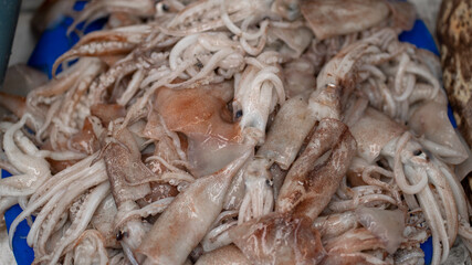 peixe mercado