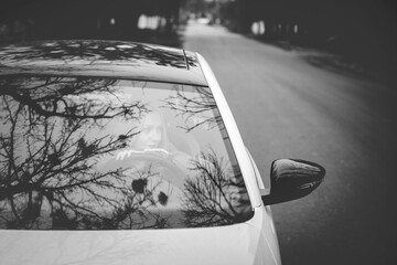 Art work. A black and white photo of a beautiful stylish girl sitting in a car. There are beautiful...