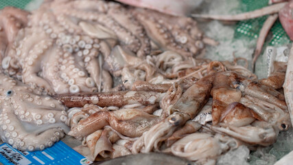 peixe mercado