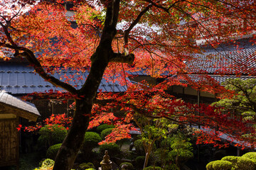 円通寺（兵庫県丹波市）の紅葉