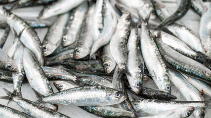 Obraz premium peixe mercado