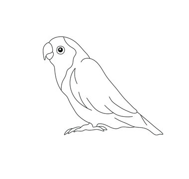 recommend clip art: Vector isolated cute cartoon one lovebird parrot side view colorless black and white contour line drawing