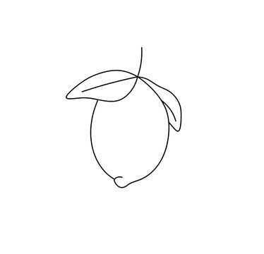 recommend clip art: Vector isolated one single lemon with leaves and twig colorless black and white contour line drawing