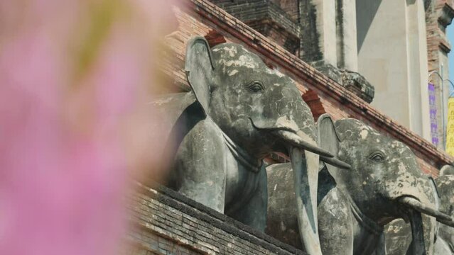4K Cinematic landscape footage of the buddhist temple monument of Wat Chedi Luang in Chiang Mai, North Thailand on a sunny day, from up close showing elephant statues.