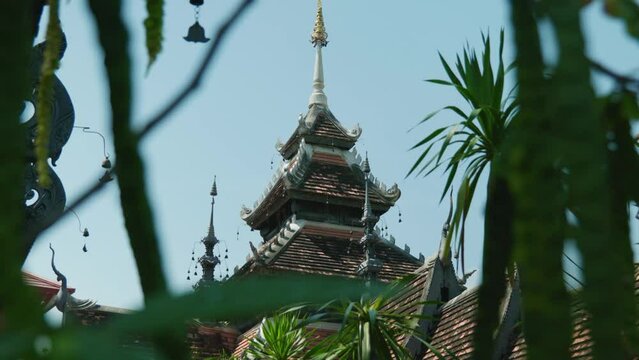 4K Cinematic landscape footage of a buddhist temple monument at Wat Chedi Luang in Chiang Mai, North Thailand on a sunny day in slow motion from behind some vegetation.