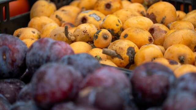 fruta nespera
