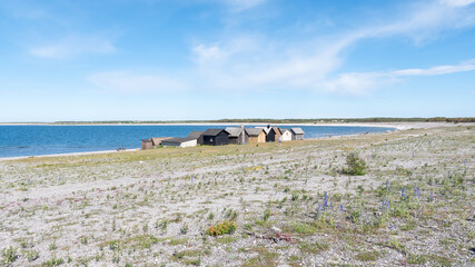Fototapeta na wymiar Fishermans cabin in a row by the sea. Huts on the island of Gotland in Sweden