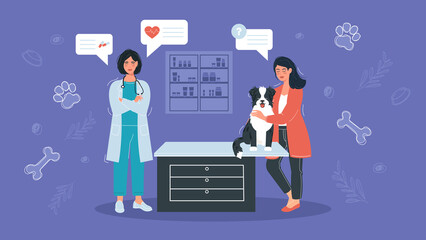Veterinarian and doctor with a dog on the counter at the veterinary clinic. Illustration in cartoon flat style.
