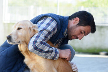 male vet checking a dog