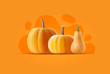 Vector illustration of volumetric pumpkin on orange background. Isolated 3D squash template of different shapes and varieties for halloween autumn banner. Realistic gourd with shadow