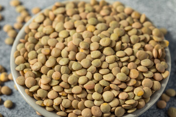 Raw Brown Organic Lentils Legumes