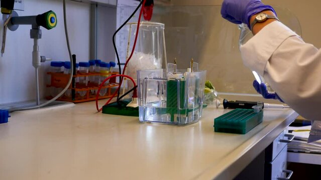Hands of scientist pouring liquid into western blotting apparatus. Side view.