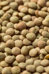 Raw Brown Organic Lentils Legumes