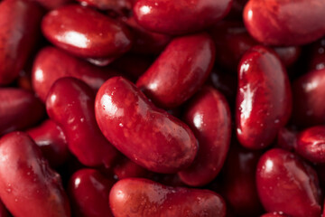 Raw Red Organic Kidney Beans