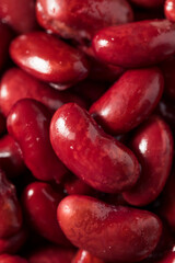 Raw Red Organic Kidney Beans