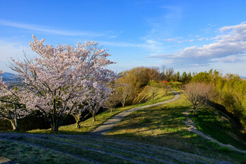 Fototapeta na wymiar 香川県高山航空公園からの春の眺め
