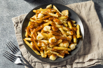 Homemade Cheesey Poutine French Fries