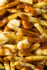 Homemade Cheesey Poutine French Fries