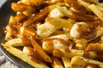Homemade Cheesey Poutine French Fries