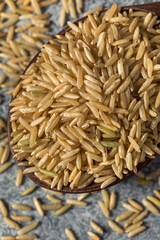 Raw Organic Dry Brown Rice