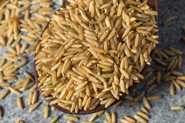 Raw Organic Dry Brown Rice
