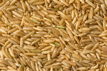 Raw Organic Dry Brown Rice