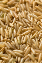 Raw Organic Dry Brown Rice