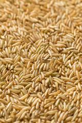 Raw Organic Dry Brown Rice