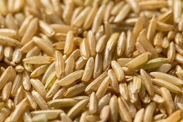 Raw Organic Dry Brown Rice