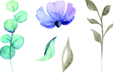Set of hand drawn watercolor flowers and leaves