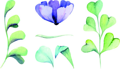 Set of hand drawn watercolor flowers and leaves