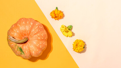 Ripe pumpkin and marigolds.Autumn composition. Top view.Space for text.