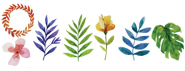 Watercolor painting of flowers and leaves in nature,watercolor background,2d illustration