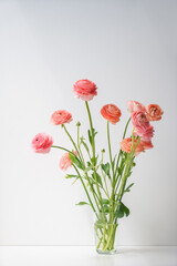 Ranunculus in a vase on a light background