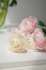 Close-up of pink and light ranunculus lying on a white table in the sun