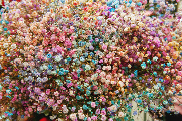 Multi-colored gypsophila pink, yellow, blue, white, orange. Wholesale floristic base, flower shop for Valentine's Day or International Women's Day on March 8