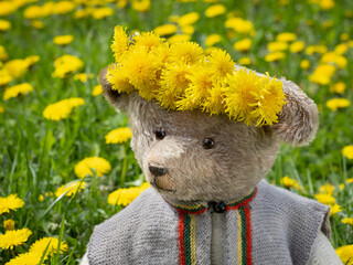 Alter Teddybär im Löwenzahnfeld mit einer BlütenKrone