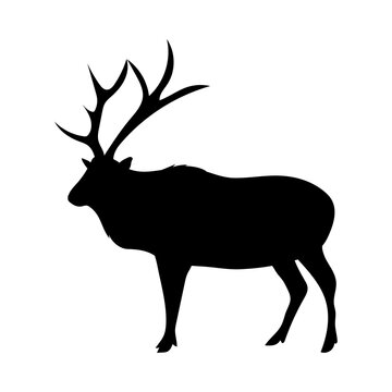stag silhouette icon
