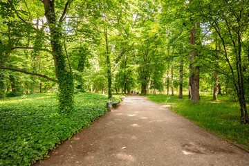 Warszawa, park Łazienki Królewskie, ścieżka z ławkami wśród zielonych drzew. Piękne miejsce na rodzinne spacery.