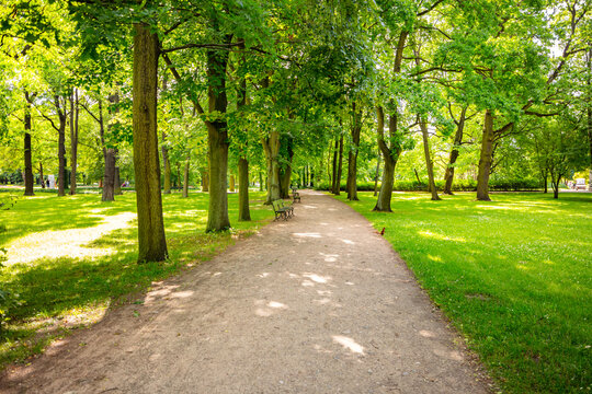 Warszawa, park Łazienki Kr&oacute;lewskie, ścieżka z ławkami wśr&oacute;d zielonych drzew. Piękne miejsce na rodzinne spacery.
