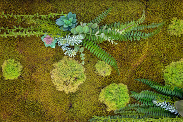 Interesting compositions using natural moss bring freshness and variety to the interior.