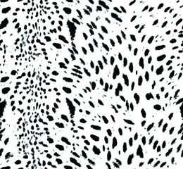 a metered pattern suitable for textiles consisting of wild animal skin