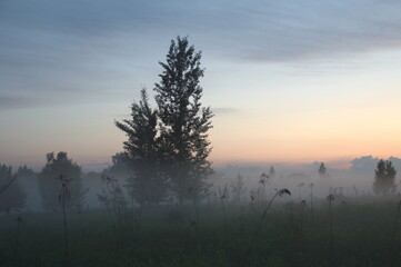 foggy evening at sunset
