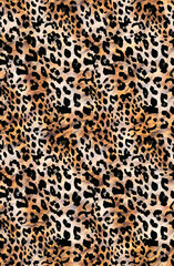 a metered pattern suitable for textiles consisting of wild animal skin
