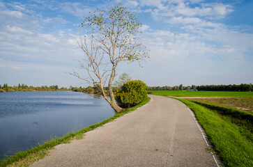 Paesaggio della Riserva Naturale Valle Cavanata lungo la Via Flavia, cammino che segue la costa del Friuli Venezia Giulia da Lazzaretto ad Aquileia