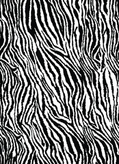 Fototapeta premium a metered pattern suitable for textiles consisting of wild animal skin