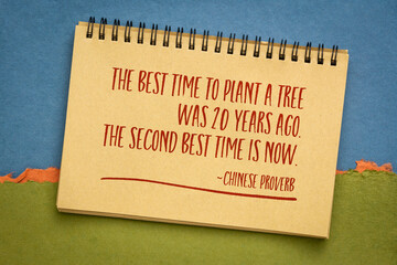 the best time to plant a tree was 20 years ago, the second best time is now - Chinese proverb, handwriting in a  spiral sketchbook against handmade pastel rag paper, inspirational concept