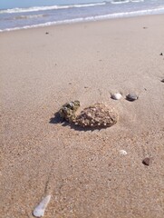 Nature sauvage et cruelle