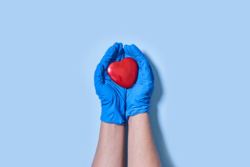 Doctor hands holding heart, donation and implantation, medic saving life in blue backgraund
