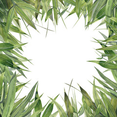 Square frame made of bamboo leaves. Watercolor illustration. For the design and decoration of postcards, posters, banners, souvenirs, menus, spa salon, invitations, certificates, advertising.